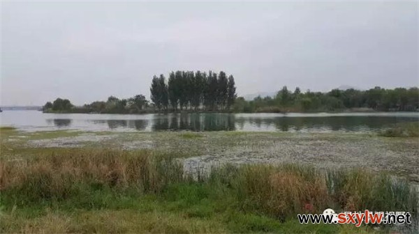 月亮湾湿地公园