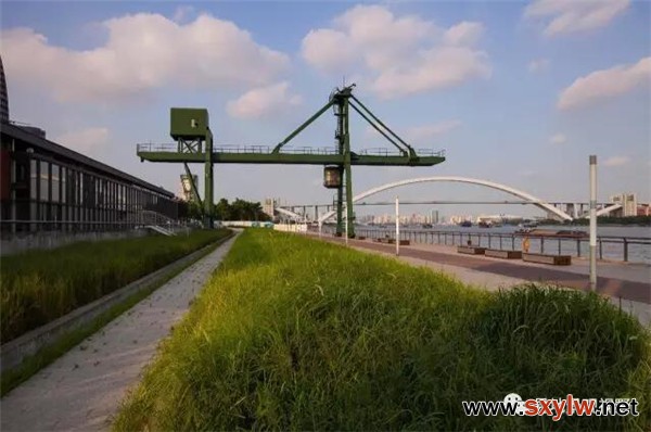 徐汇滨江雨水景观带